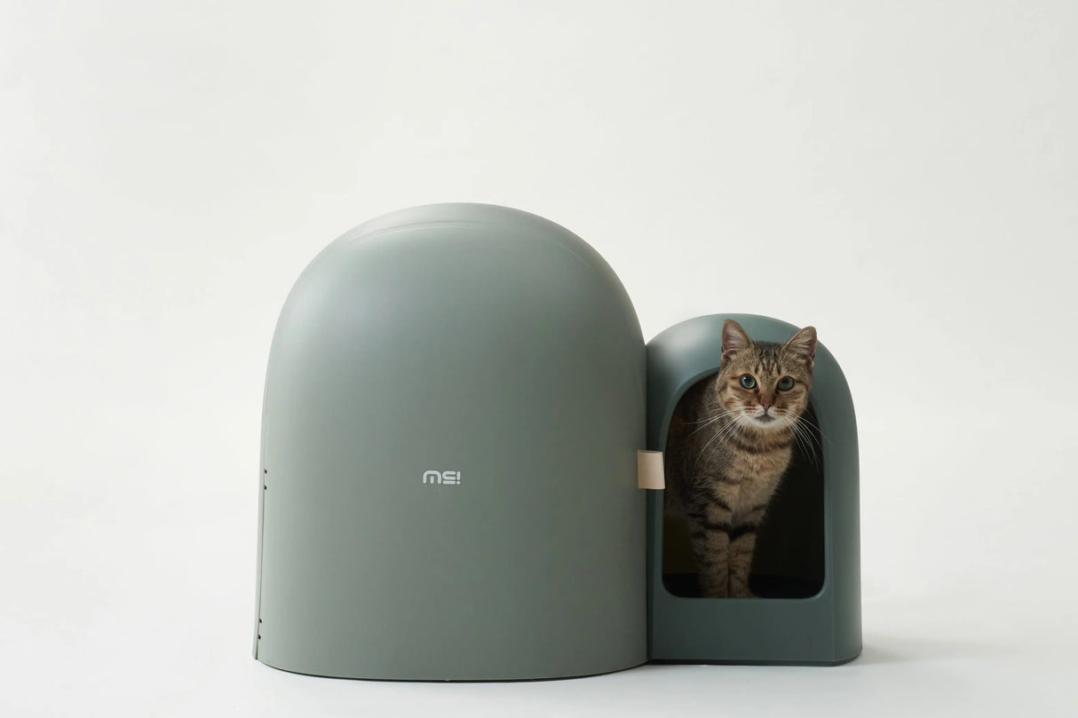 Kattenbak - grote ruimte - inclusief kattebakschepje - lekvrij - geurvrij - one size fits all - SpirePets