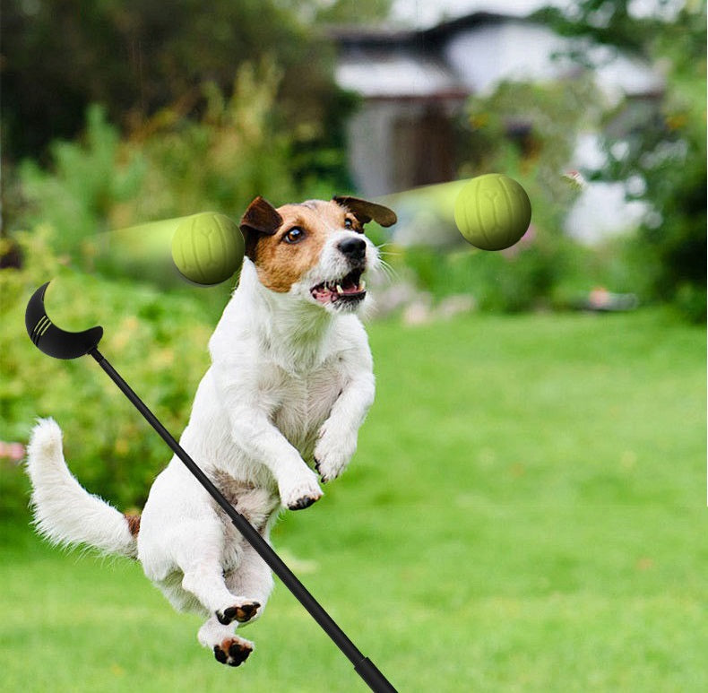 Werpstok voor honden - ballenwerper - hondenspeelgoed - SpirePets