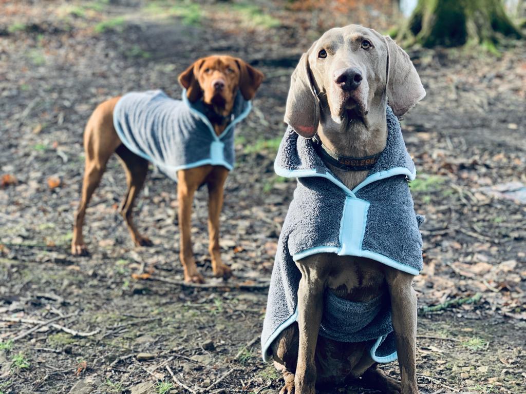 Henry Wag microvezel hondenbadjas - droogjas voor honden - Maat XL - SpirePets
