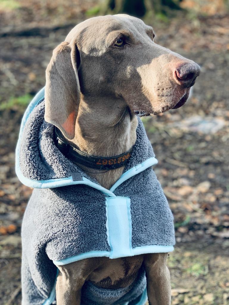 Henry Wag microvezel hondenbadjas - droogjas voor honden - Maat XL - SpirePets