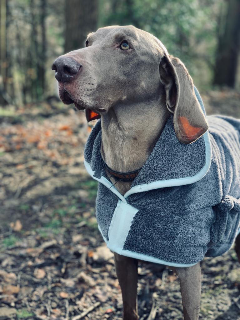 Henry Wag microvezel hondenbadjas - droogjas voor honden - Maat XL - SpirePets