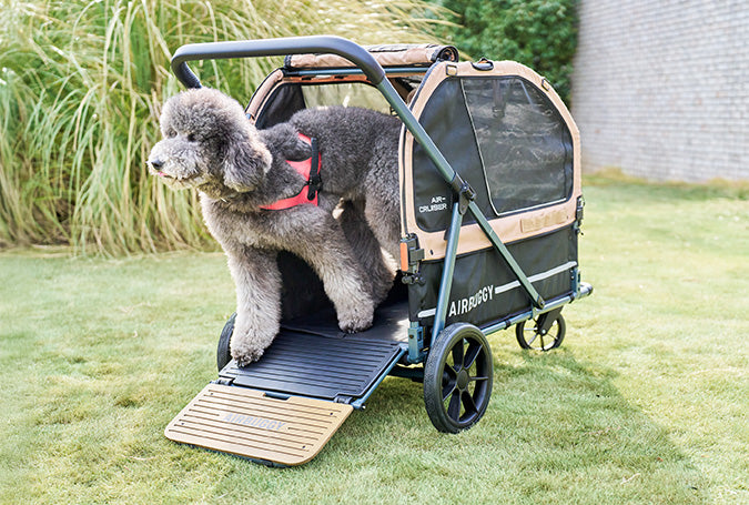 AirBuggy AIR-CRUISER – De Ultieme Premium Hondenbuggy voor Grote Rassen - SpirePets