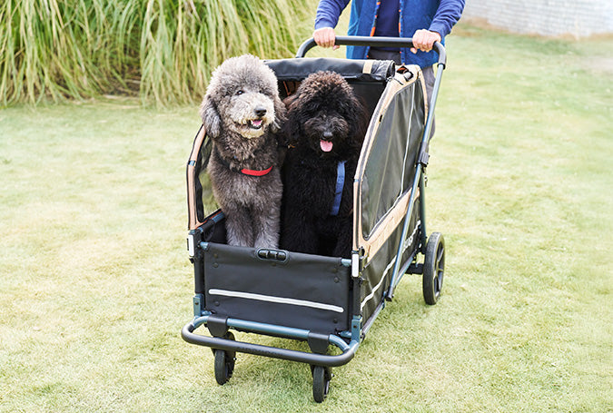 AirBuggy AIR-CRUISER – De Ultieme Premium Hondenbuggy voor Grote Rassen - SpirePets