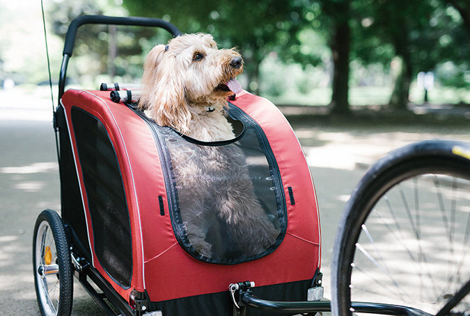 AirBuggy Cube Nest – Buggy voor jouw hond of kat - SpirePets