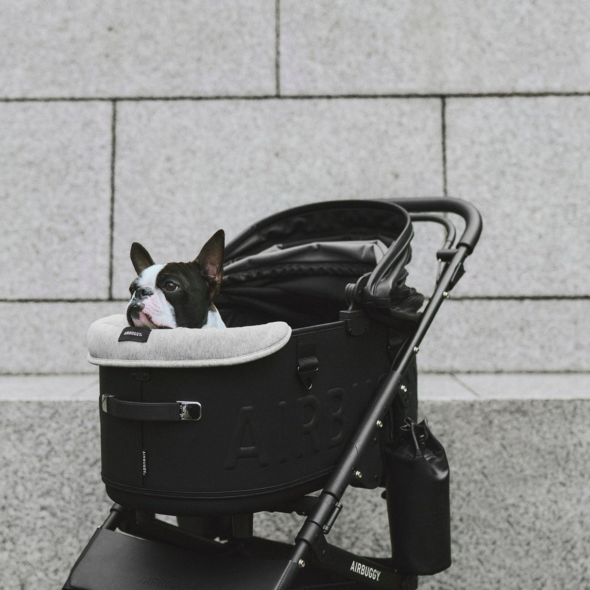AirBuggy Dome 3 Regular Earth Grey – Poussette pour chien confortable et élégante