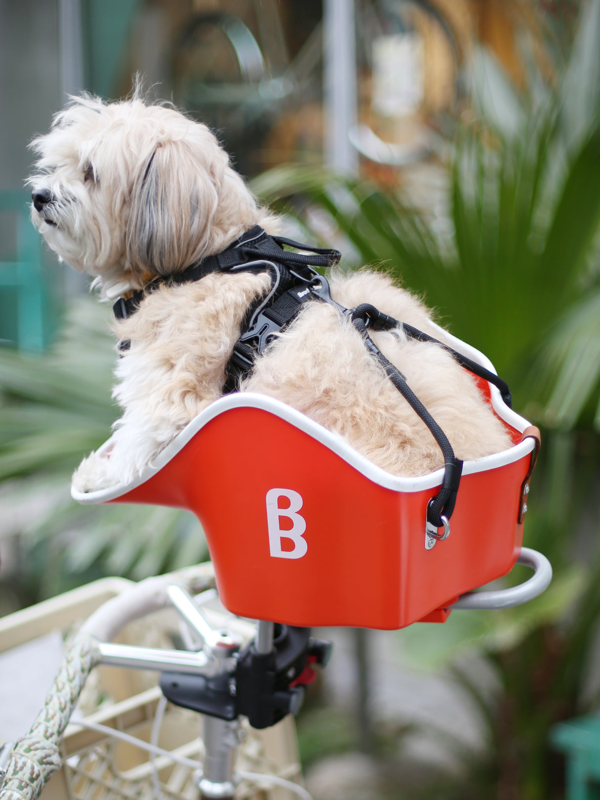 Brook & Breeze Canine Copilot - fietsstoeltje voor hond of kat - SpirePets
