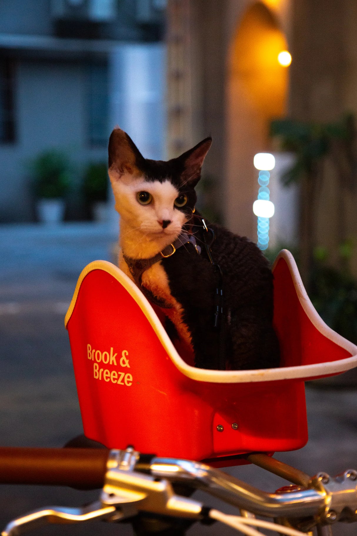 Brook & Breeze Canine Copilot - fietsstoeltje voor hond of kat - SpirePets