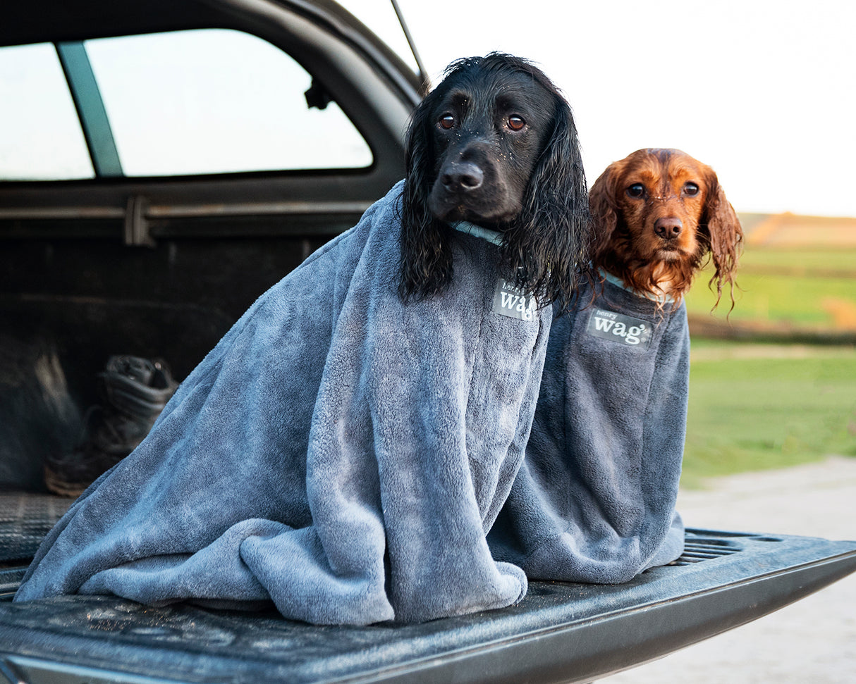 Henry Wag honden droogzak - microvezel - Maat L - SpirePets
