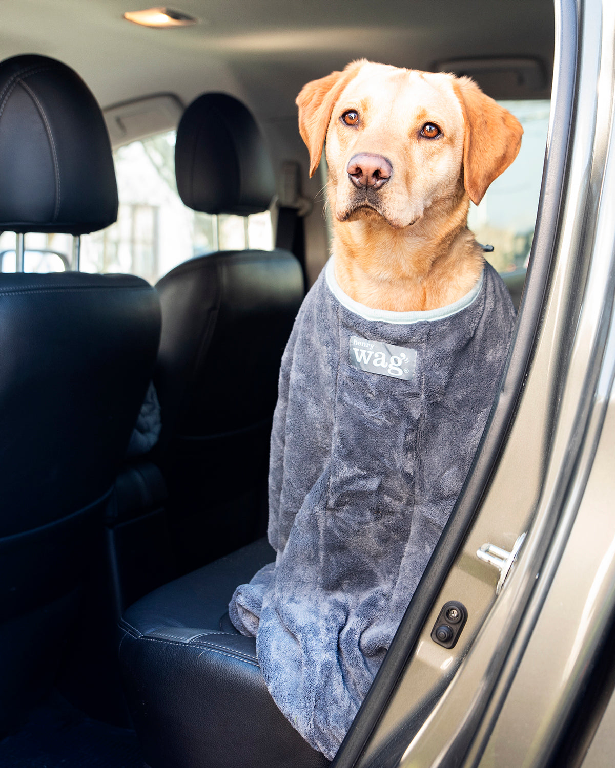 Henry Wag honden droogzak - microvezel - Maat L - SpirePets