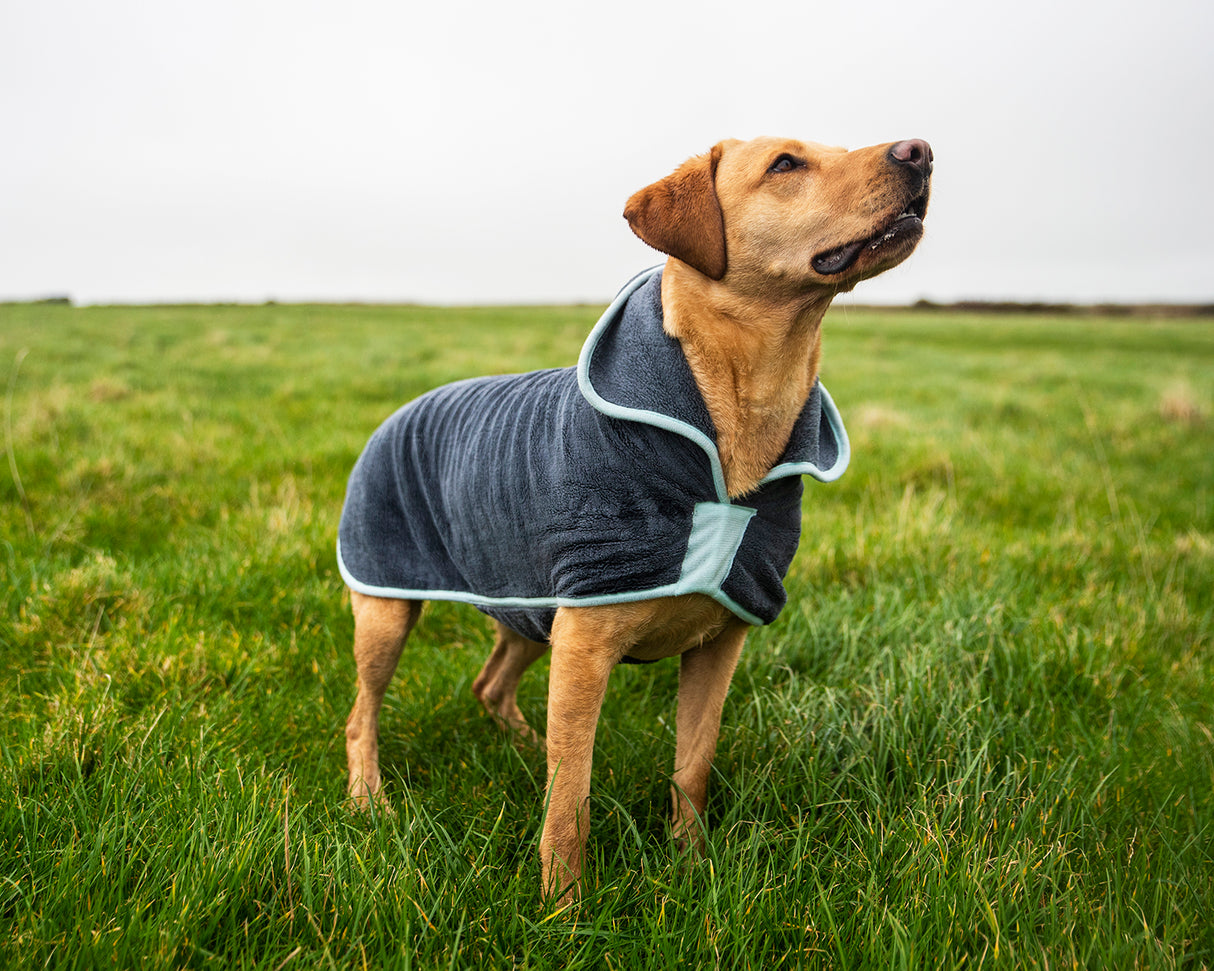 Henry Wag microvezel hondenbadjas - droogjas voor honden - Maat XL - SpirePets