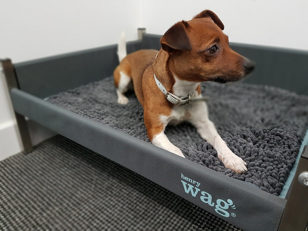 Henry Wag Microvezel Noodle Huisdier Mat - Droogmat voor honden - Maat M - SpirePets