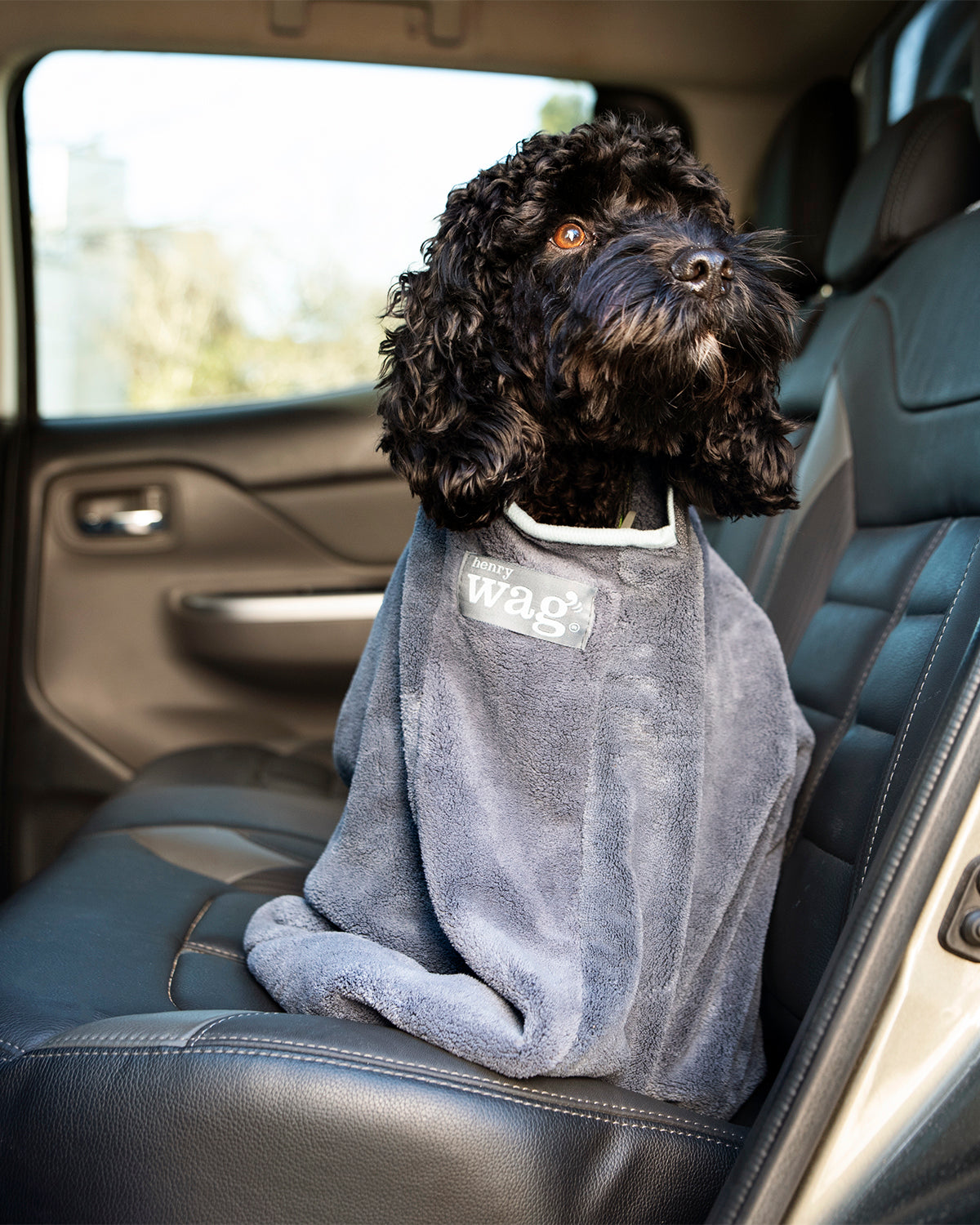 Henry Wag honden droogzak - microvezel - Maat M - SpirePets