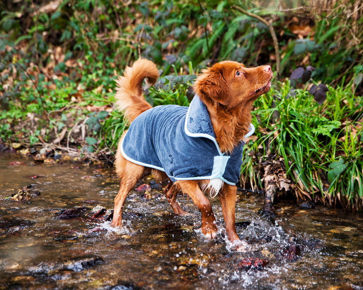 Henry Wag honden badjas - droogjas voor honden - Maat M - SpirePets