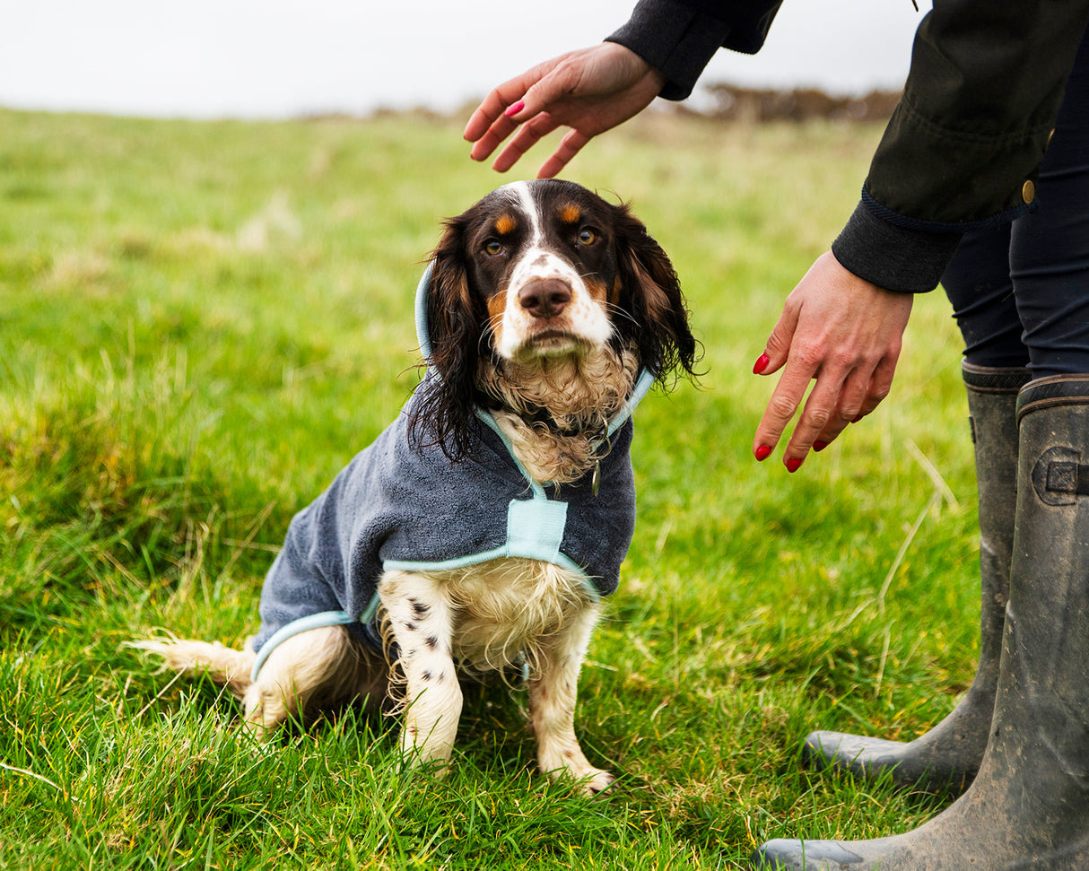 Henry Wag honden badjas - droogjas voor honden - Maat M - SpirePets