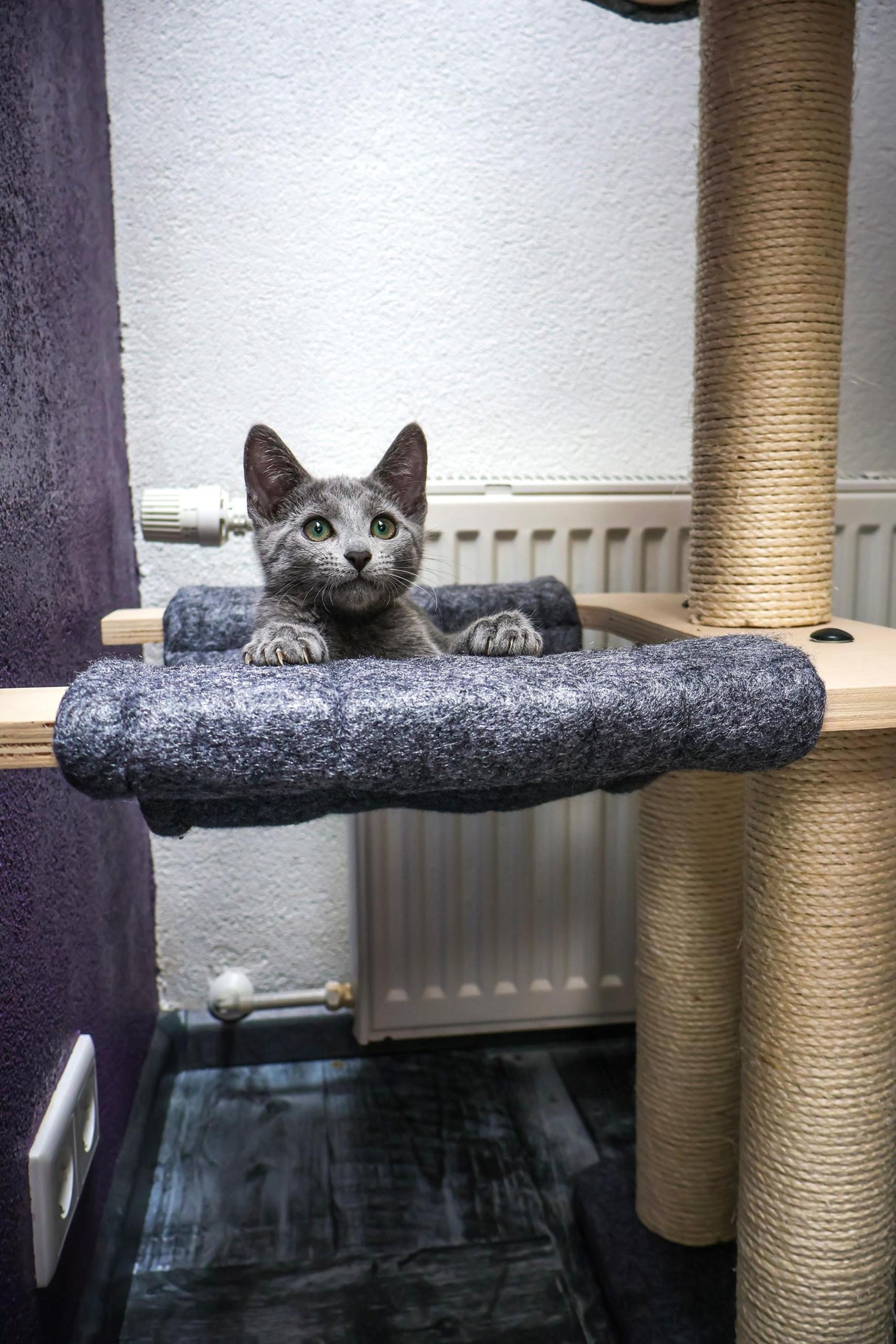 Katten krabpaal Candy - klimboom - grijs - SpirePets
