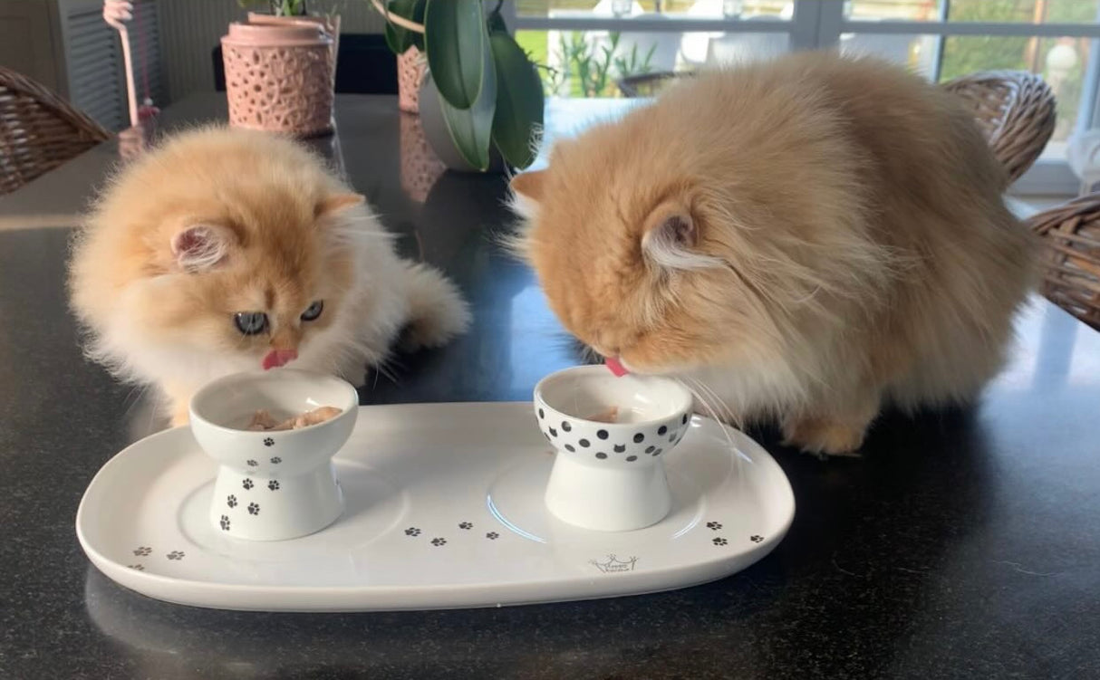 Necoichi dienblad inclusief twee bakjes voor katten - SpirePets