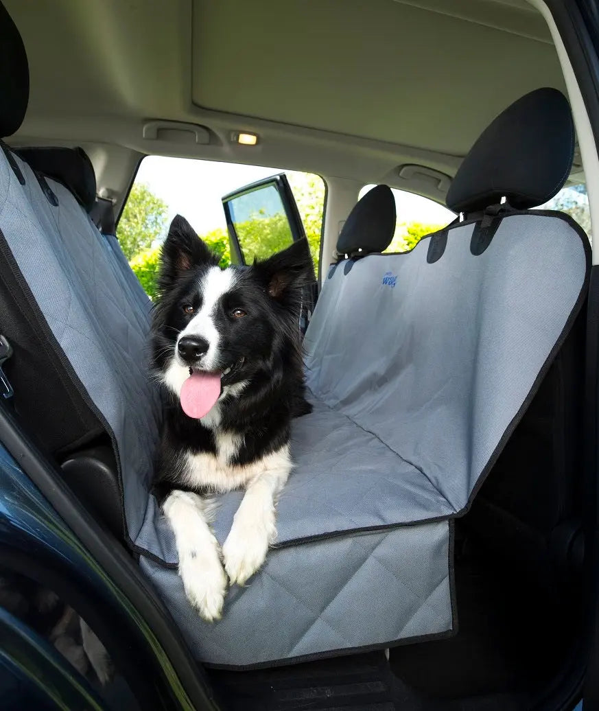 Checklist voor zorgeloos reizen met je hond of kat SpirePets