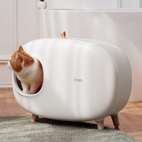 Kattenbak keuze en onderhoud - Alles wat je moet weten SpirePets