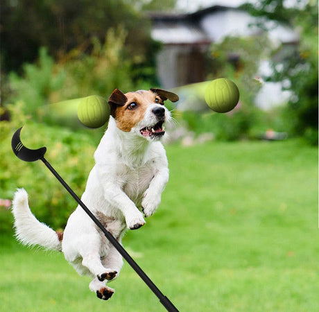 Werpstok voor honden - ballenwerper - hondenspeelgoed - SpirePets