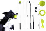 Werpstok voor honden - ballenwerper - hondenspeelgoed - SpirePets