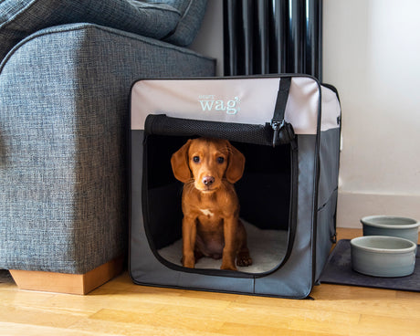 Henry Wag Opvouwbare Bench Hond - Reisbench M - SpirePets