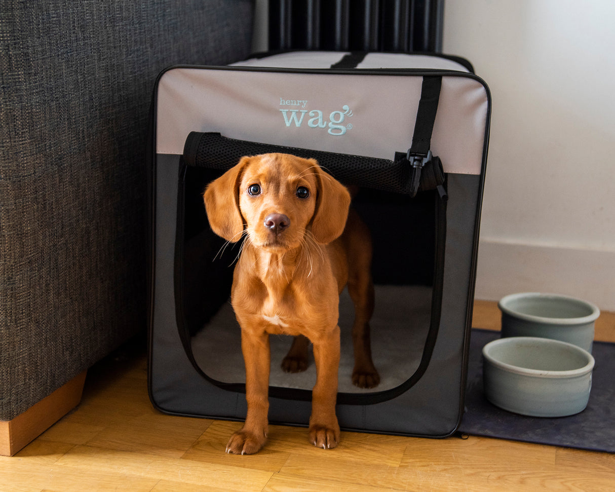 Henry Wag Opvouwbare Bench Hond - Reisbench M - SpirePets