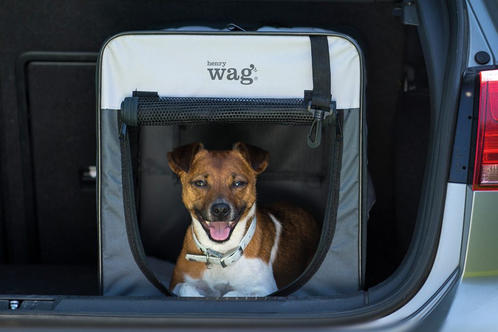 Henry Wag Opvouwbare Bench Hond - Reisbench M - SpirePets