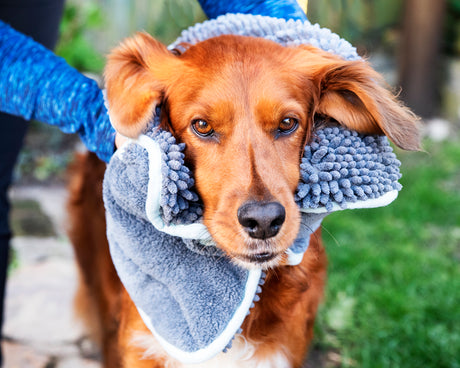 Henry Wag Microvezel huisdier handdoek voor honden en katten - SpirePets