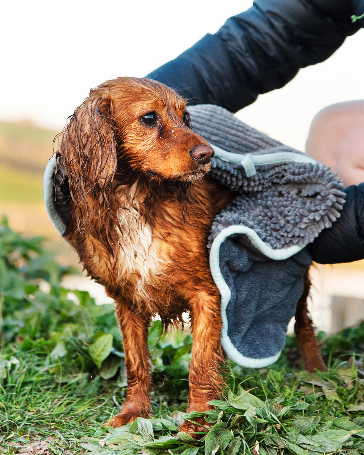Henry Wag Microvezel huisdier handdoek voor honden en katten - SpirePets