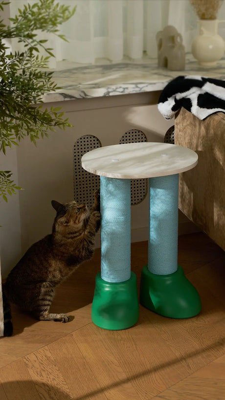 Bootsy Katten krabpaal met kattenmand - SpirePets