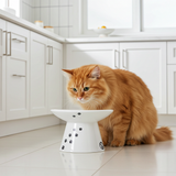 Gamelle surélevée pour chat - Gamelle en porcelaine pour chat