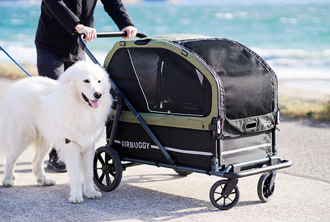 AirBuggy AIR-CRUISER – De Ultieme Premium Hondenbuggy voor Grote Rassen - SpirePets