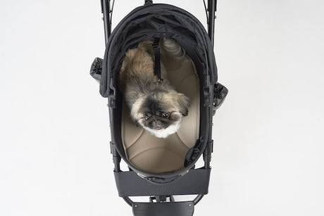 AirBuggy Dome 3 Premier Set Large Bleu Marine – Confort luxueux pour votre animal