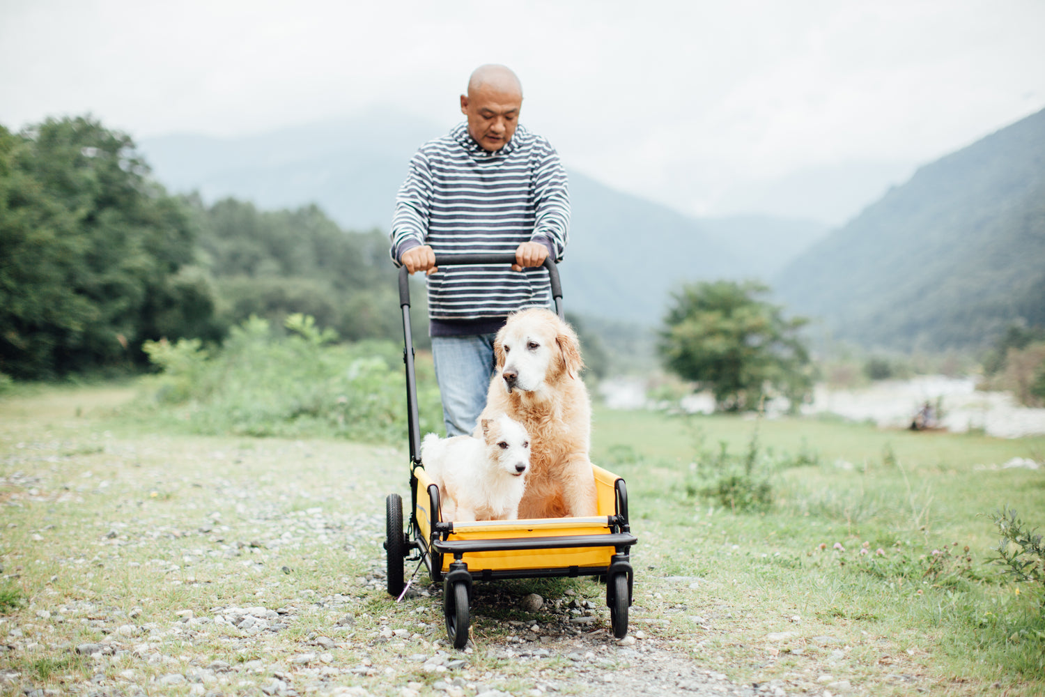 Ensemble de poussettes AirBuggy Earth Grey – Voyagez confortablement avec votre animal de compagnie