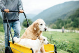 AirBuggy Carriage Set Seed Beige - Luxe Hondenbuggy tot 55kg - SpirePets