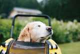 AirBuggy Carriage Set Seed Beige - Luxe Hondenbuggy tot 55kg - SpirePets