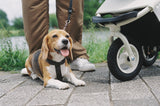 AirBuggy Dome 3 Premier Set Regular Ivory White - Luxe wandelwagen - SpirePets