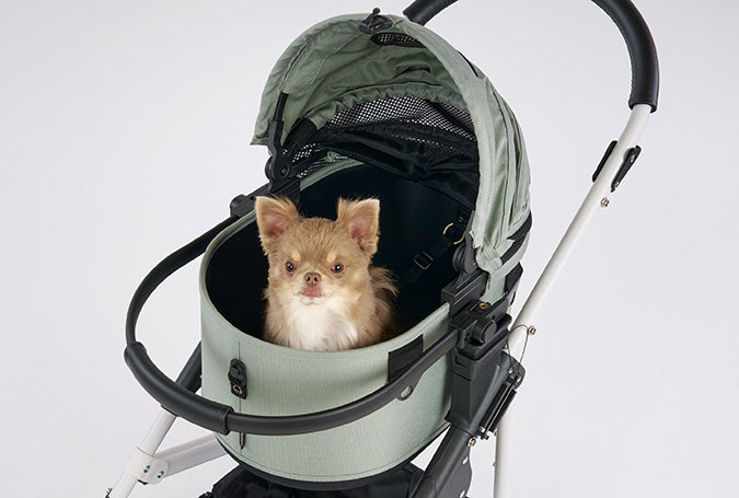 AirBuggy Dome 3 SMALL COT - MOSS GREEN - SpirePets