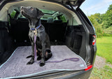 Henry Wag Microvezel Noodle Huisdier Mat - XL droogmat hond - SpirePets