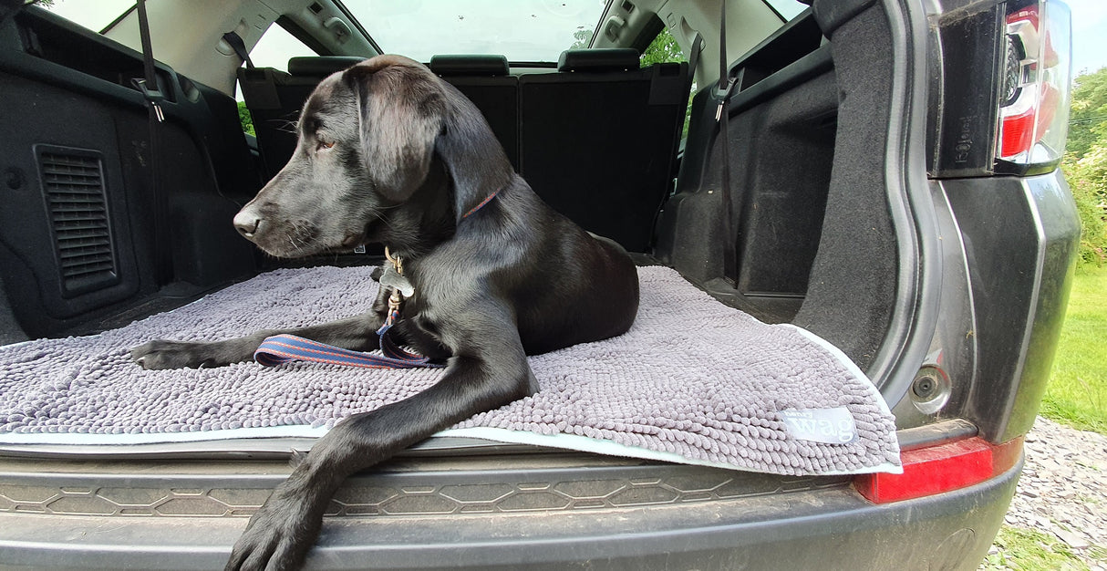 Henry Wag Microvezel Noodle Huisdier Mat - XL droogmat hond - SpirePets