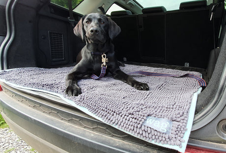 Henry Wag Microvezel Noodle Huisdier Mat - XL droogmat hond - SpirePets