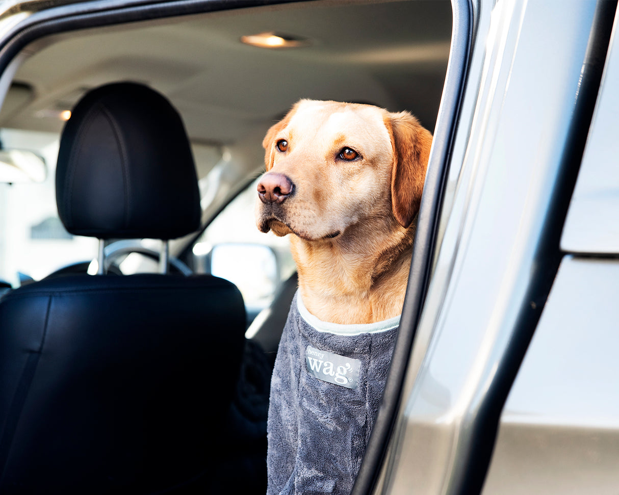 Henry Wag honden droogzak - microvezel - Maat L - SpirePets