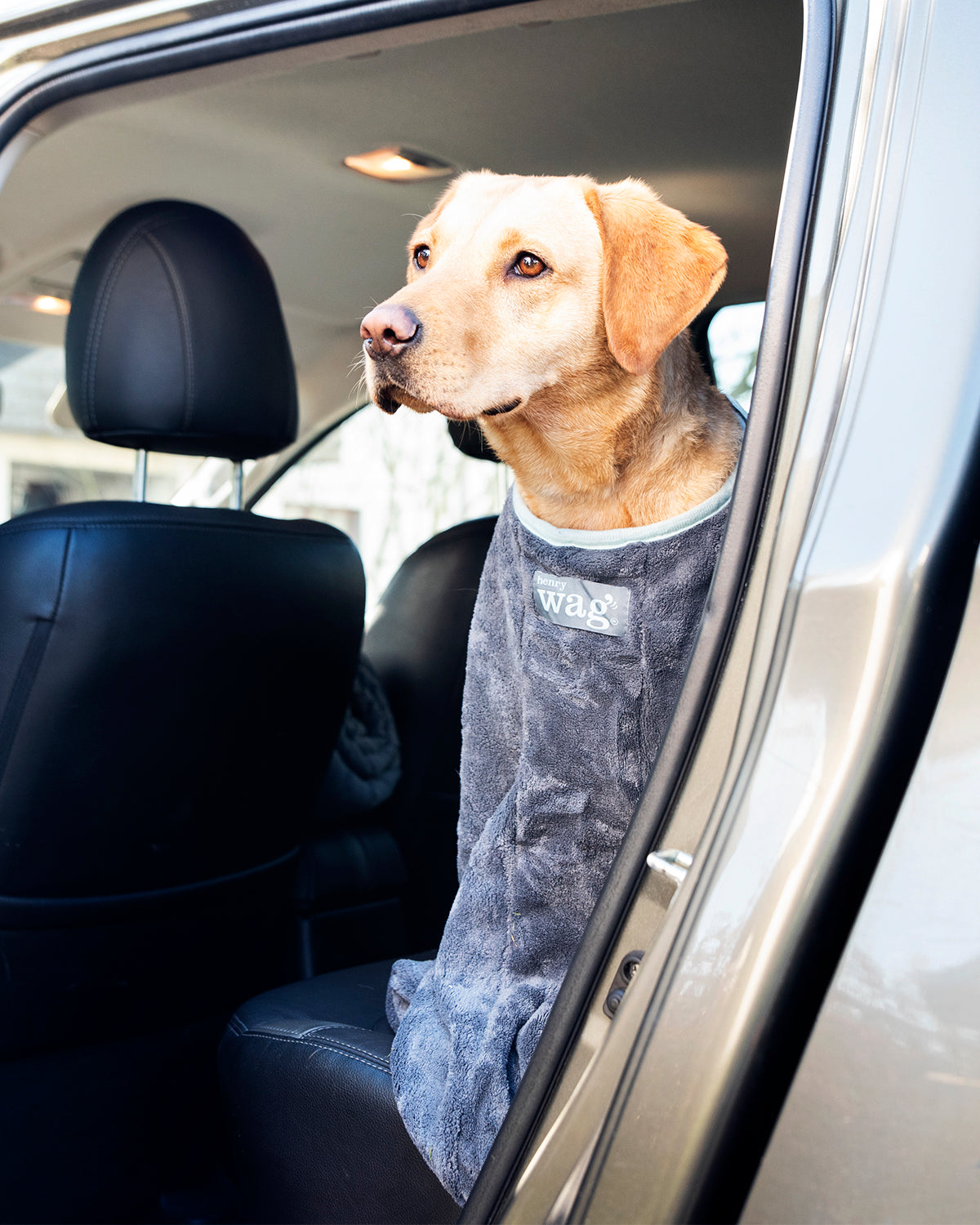 Henry Wag honden droogzak - microvezel - Maat L - SpirePets