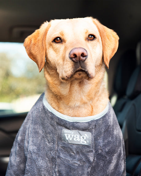 Henry Wag honden droogzak - microvezel - Maat L - SpirePets