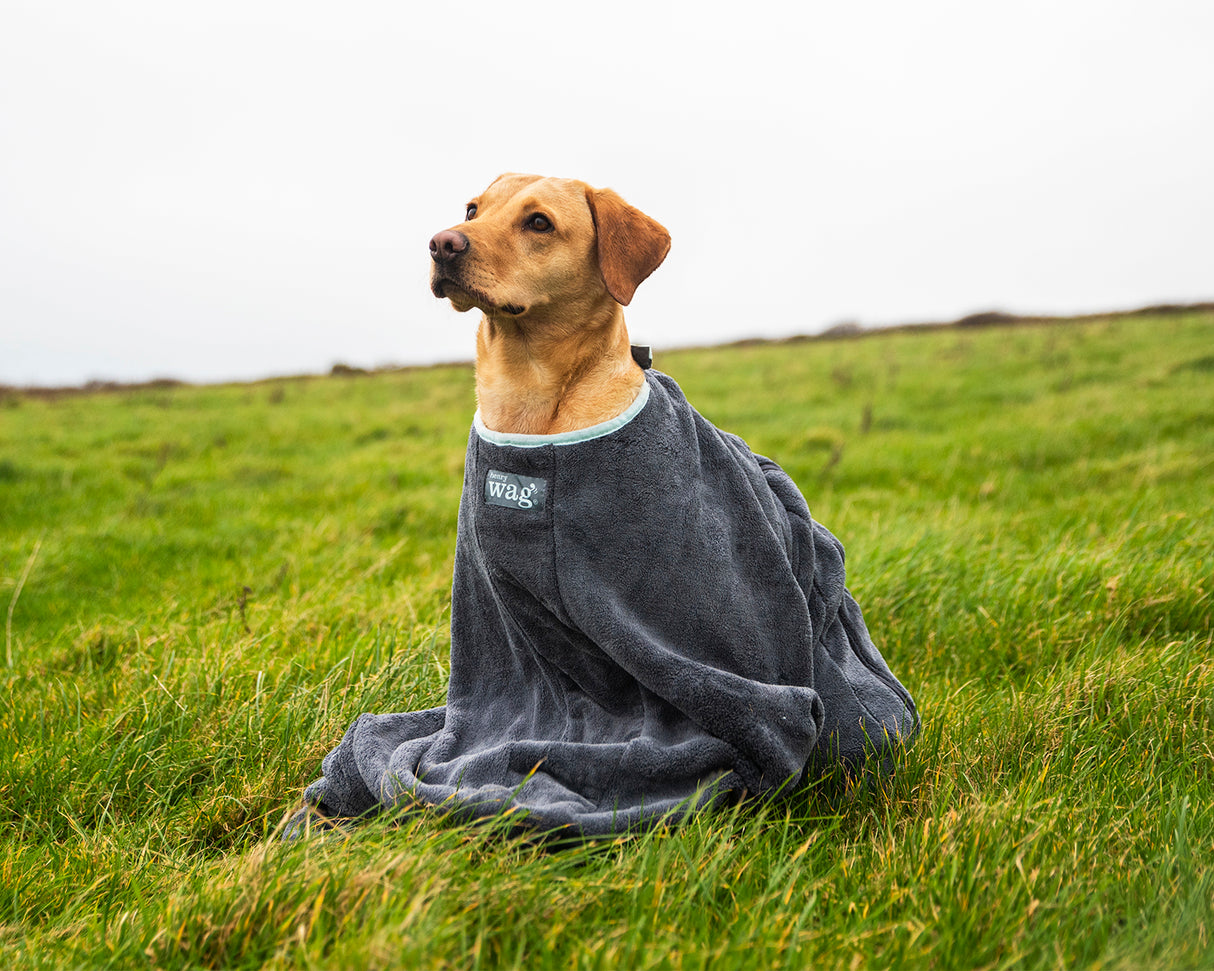 Henry Wag honden droogzak - microvezel - Maat L - SpirePets