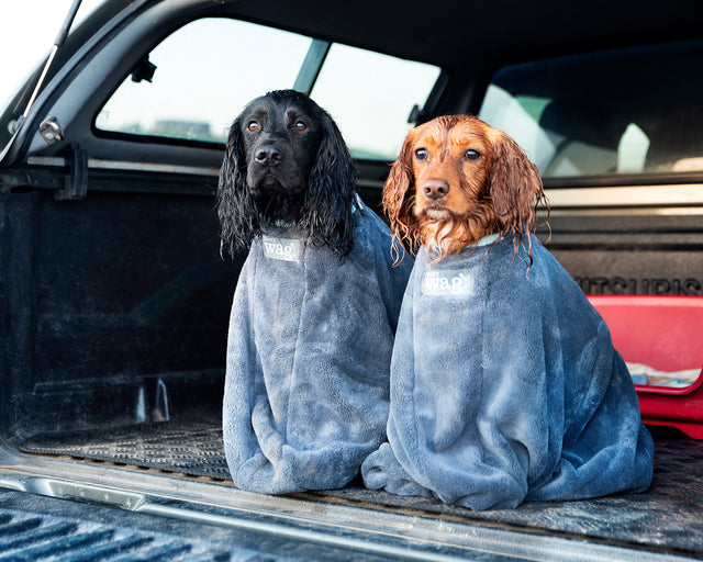 Henry Wag honden droogzak - microvezel - Maat L - SpirePets
