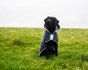 Henry Wag microvezel hondenbadjas - droogjas voor honden - Maat L - SpirePets