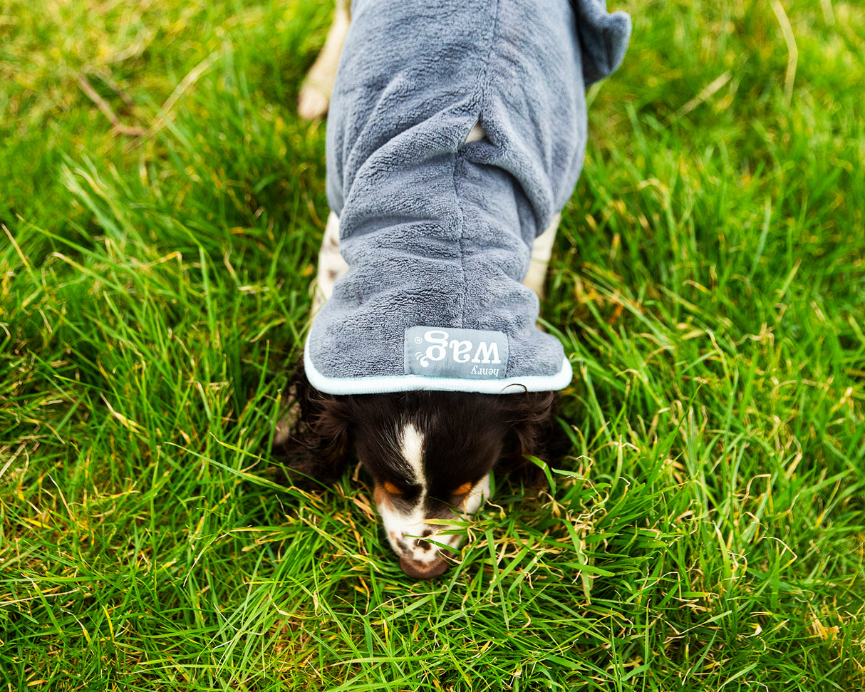 Henry Wag honden badjas - droogjas voor honden - Maat M - SpirePets