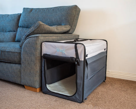 Henry Wag Opvouwbare Bench Hond - Reisbench L - SpirePets
