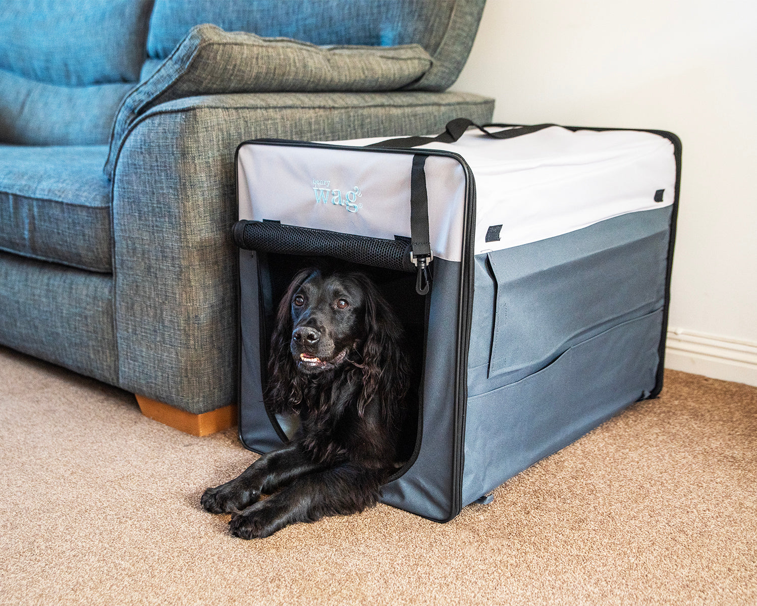 Henry Wag Opvouwbare Bench Hond - Reisbench L - SpirePets